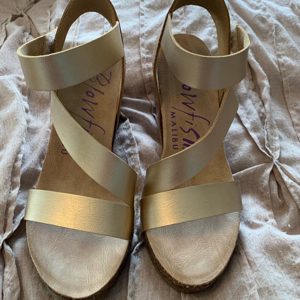 Bonefish gold wedges